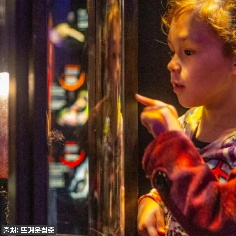 뉴질랜드 북섬 여행 필수코스! 테파파 관련 이미지 7