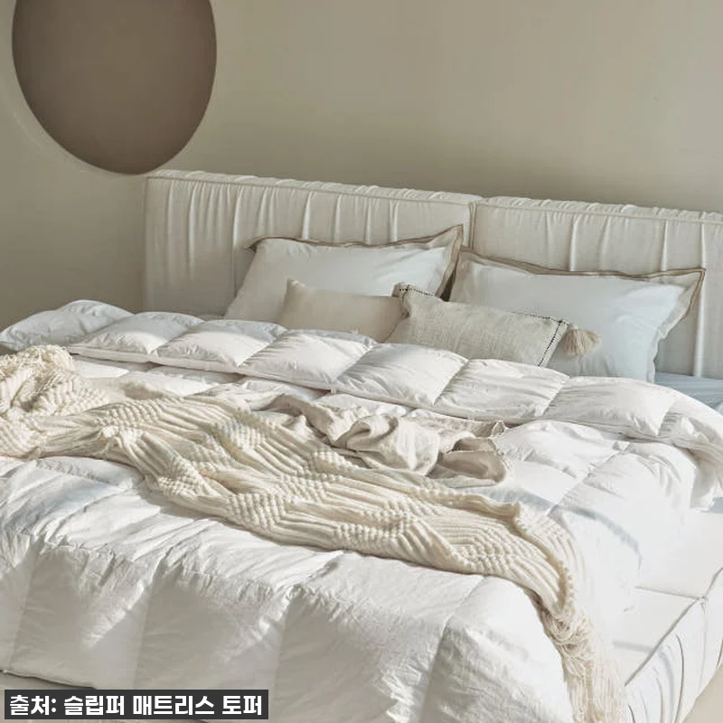 역대급 실물 깡패! 슬립퍼 시크 패브 관련 이미지 8