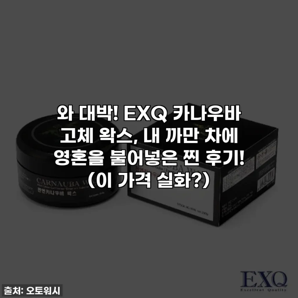 와 대박! EXQ 카나우바 고체 왁스, 내 까만 차에 영혼을 불어넣은 찐 후기! (이 가격 실화?)