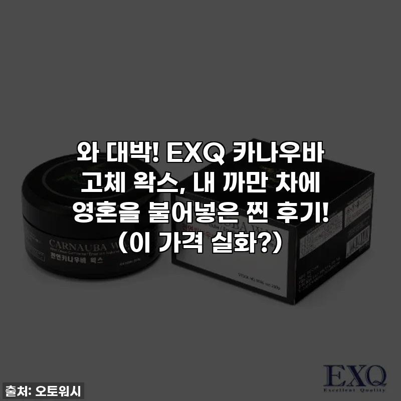 와 대박! EXQ 카나우바 고체 왁스, 내 까만 차에 영혼을 불어넣은 찐 후기! (이 가격 실화?)