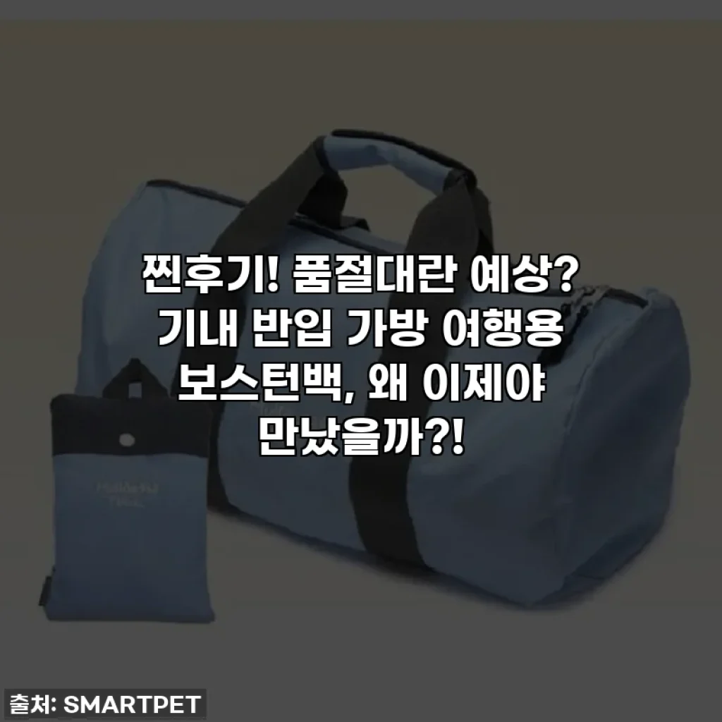 찐후기! 품절대란 예상? 기내 반입 가방 여행용 보스턴백, 왜 이제야 만났을까?!