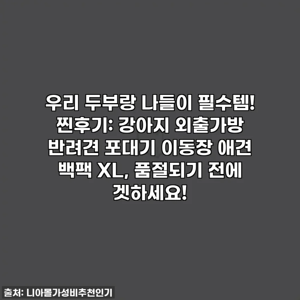 우리 두부랑 나들이 필수템! 찐후기: 강아지 외출가방 반려견 포대기 이동장 애견 백팩 XL, 품절되기 전에 겟하세요!