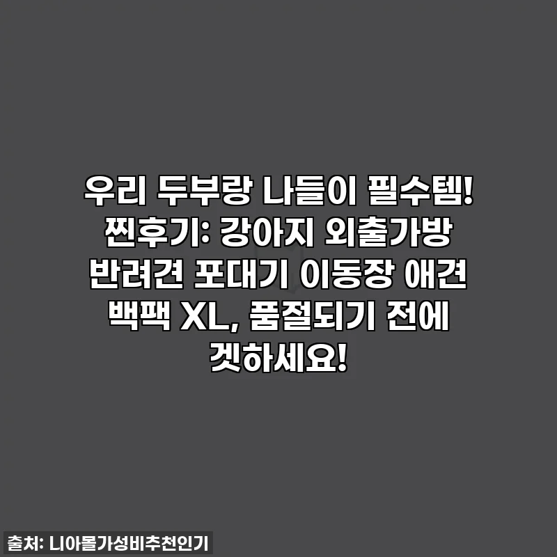 우리 두부랑 나들이 필수템! 찐후기: 강아지 외출가방 반려견 포대기 이동장 애견 백팩 XL, 품절되기 전에 겟하세요!