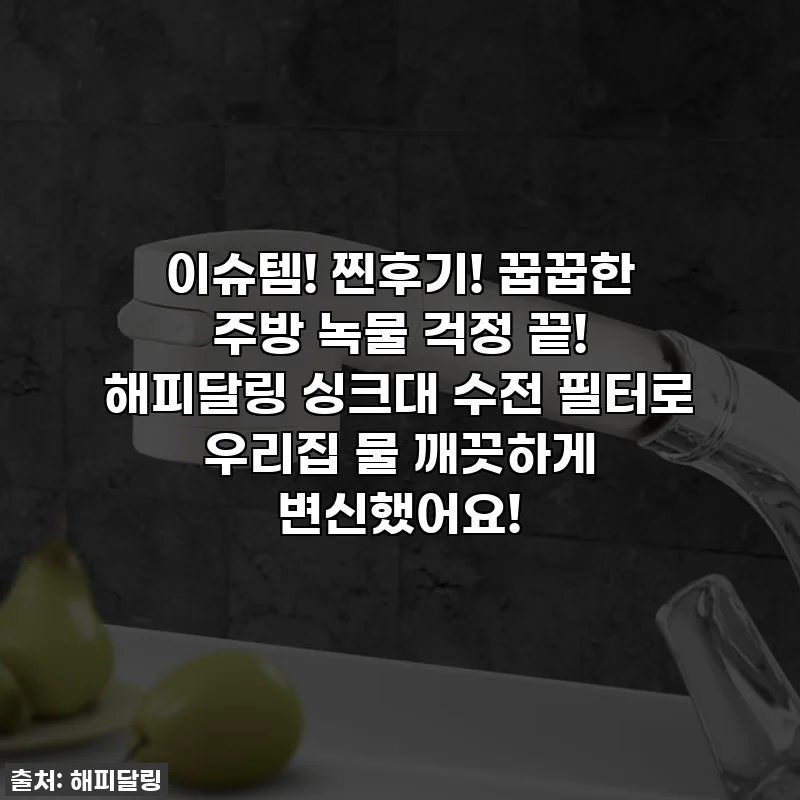 이슈템! 찐후기! 꿉꿉한 주방 녹물 걱정 끝! 해피달링 싱크대 수전 필터로 우리집 물 깨끗하게 변신했어요!