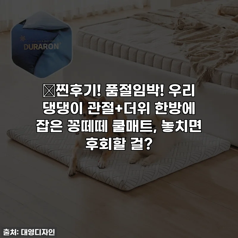 🔥찐후기! 품절임박! 우리 댕댕이 관절+더위 한방에 잡은 꽁떼떼 쿨매트, 놓치면 후회할 걸?