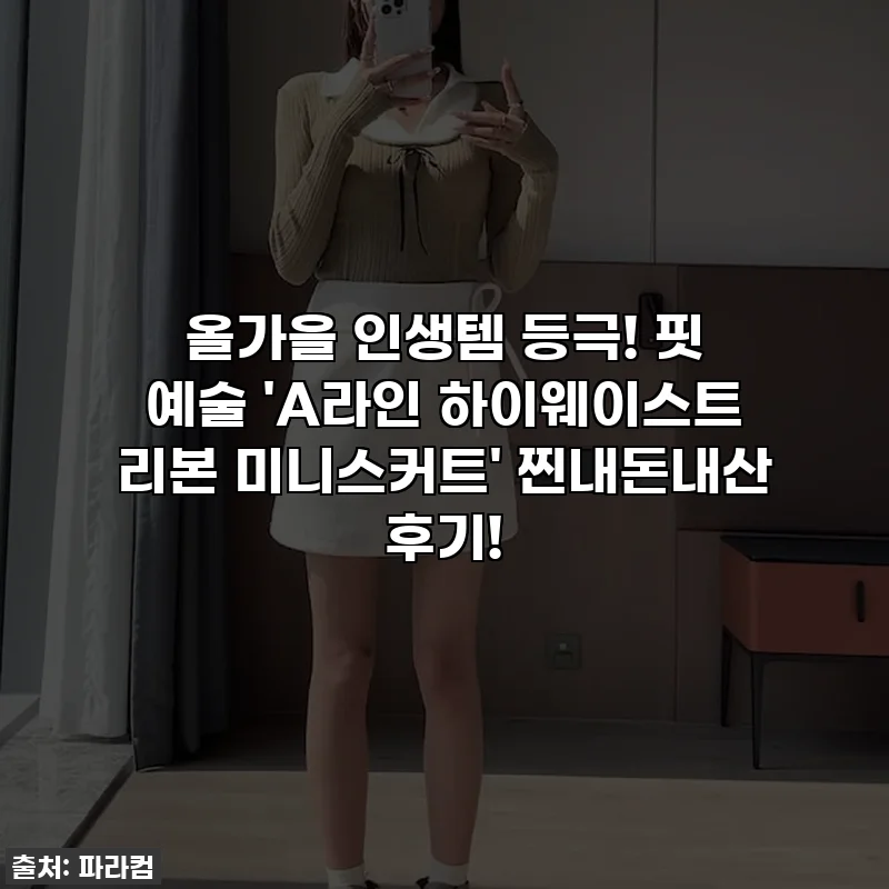 올가을 인생템 등극! 핏 예술 'A라인 하이웨이스트 리본 미니스커트' 찐내돈내산 후기!