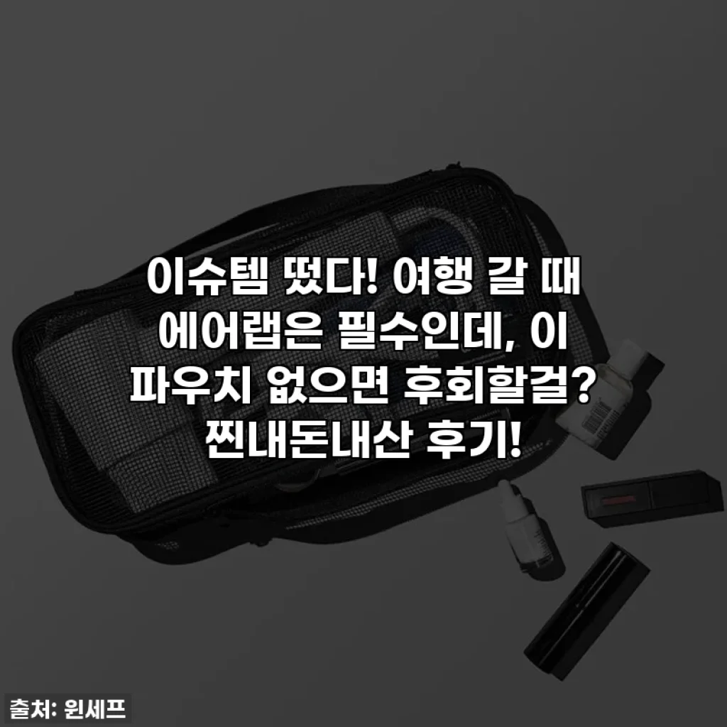 이슈템 떴다! 여행 갈 때 에어랩은 필수인데, 이 파우치 없으면 후회할걸? 찐내돈내산 후기!