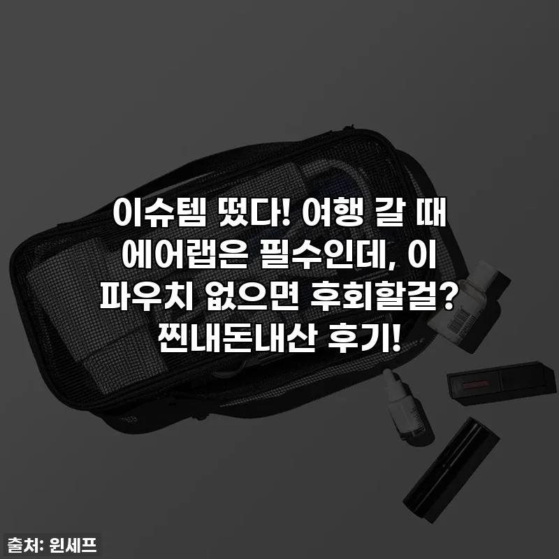 이슈템 떴다! 여행 갈 때 에어랩은 필수인데, 이 파우치 없으면 후회할걸? 찐내돈내산 후기!