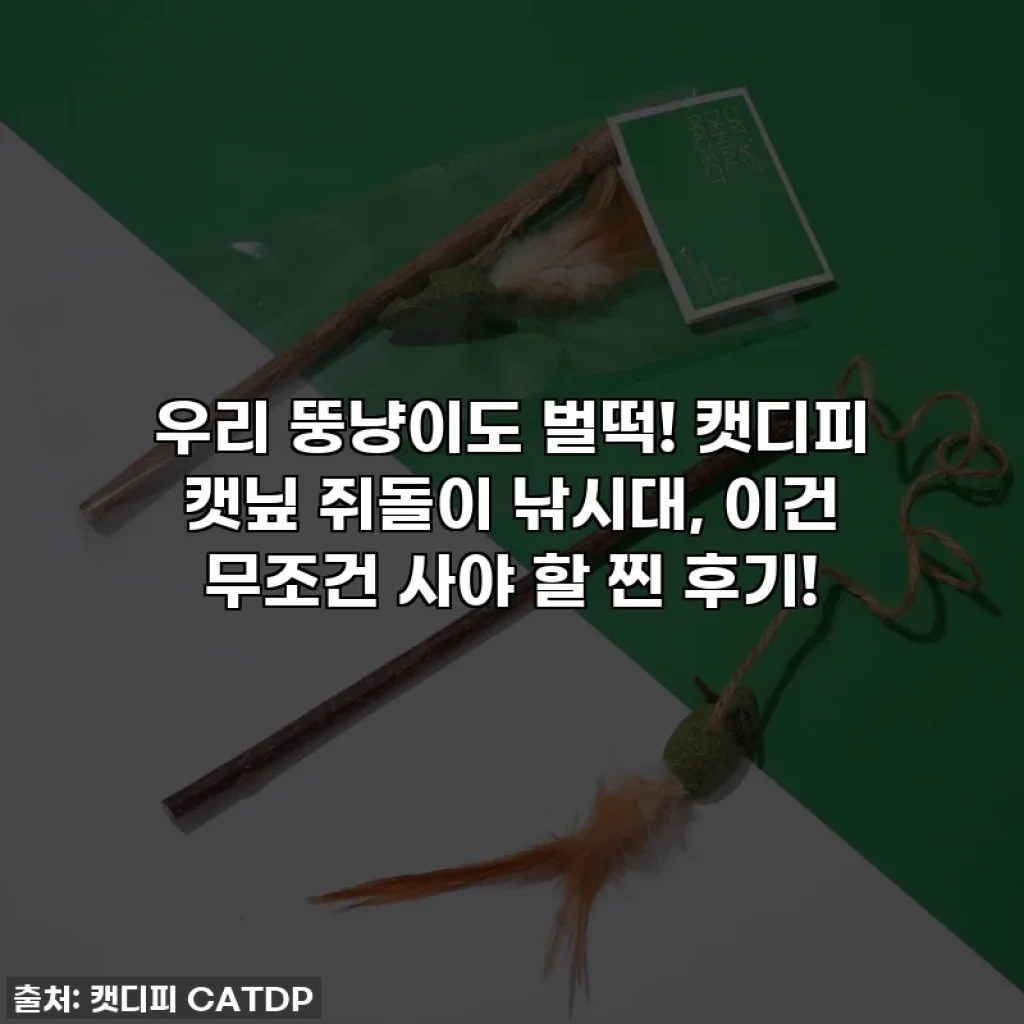 우리 뚱냥이도 벌떡! 캣디피 캣닢 쥐돌이 낚시대, 이건 무조건 사야 할 찐 후기!