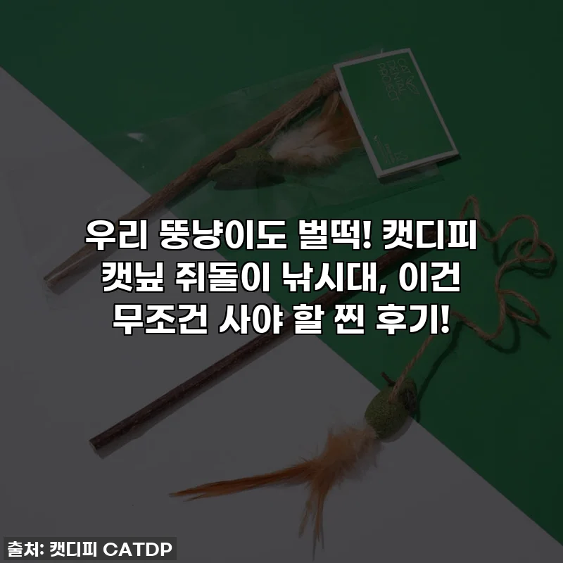 우리 뚱냥이도 벌떡! 캣디피 캣닢 쥐돌이 낚시대, 이건 무조건 사야 할 찐 후기!