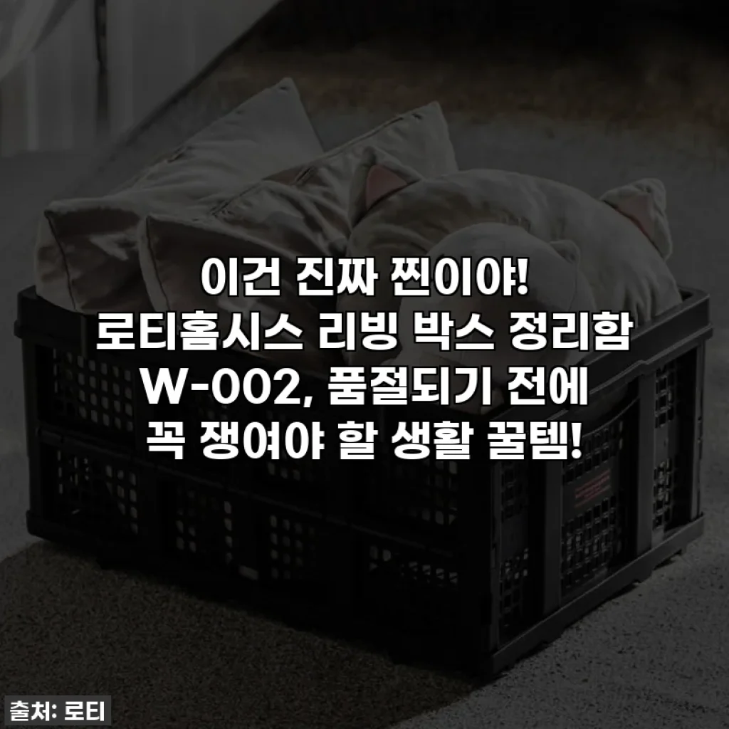 이건 진짜 찐이야! 로티홈시스 리빙 박스 정리함 W-002, 품절되기 전에 꼭 쟁여야 할 생활 꿀템!