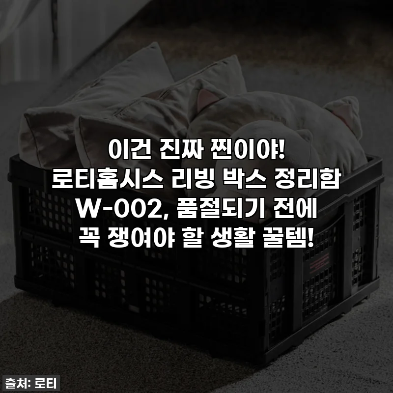 이건 진짜 찐이야! 로티홈시스 리빙 박스 정리함 W-002, 품절되기 전에 꼭 쟁여야 할 생활 꿀템!