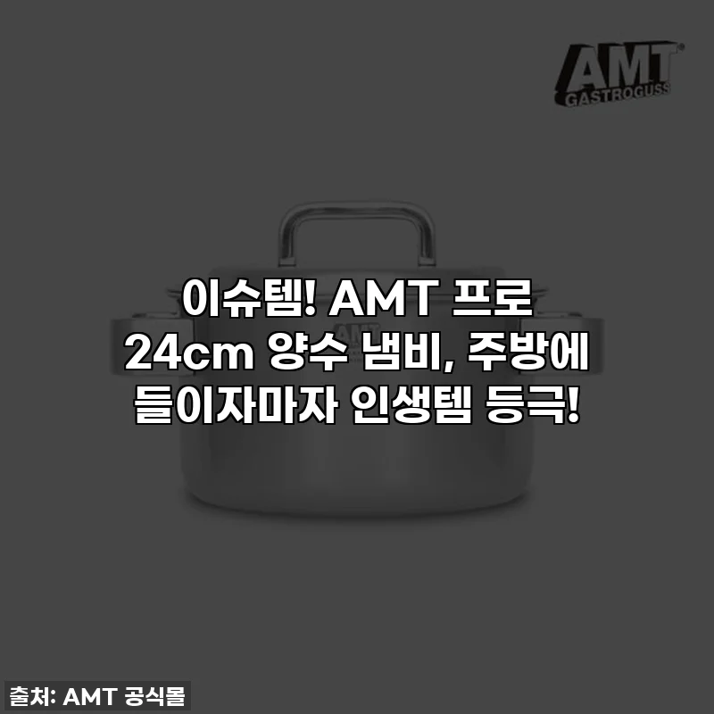 이슈템! AMT 프로 24cm 양수 냄비, 주방에 들이자마자 인생템 등극!