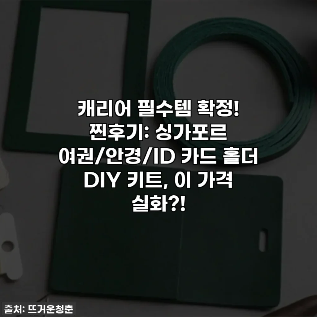 캐리어 필수템 확정! 찐후기: 싱가포르 여권/안경/ID 카드 홀더 DIY 키트, 이 가격 실화?!