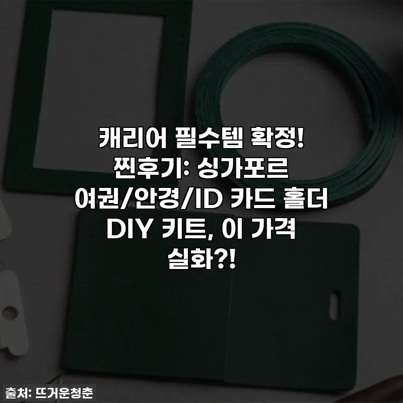 캐리어 필수템 확정! 찐후기: 싱가포르 여권/안경/ID 카드 홀더 DIY 키트, 이 가격 실화?!