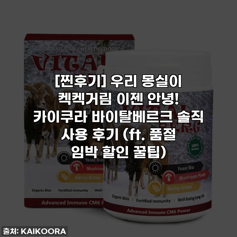 [찐후기] 우리 몽실이 켁켁거림 이젠 안녕! 카이쿠라 바이탈베르크 솔직 사용 후기 (ft. 품절 임박 할인 꿀팁)