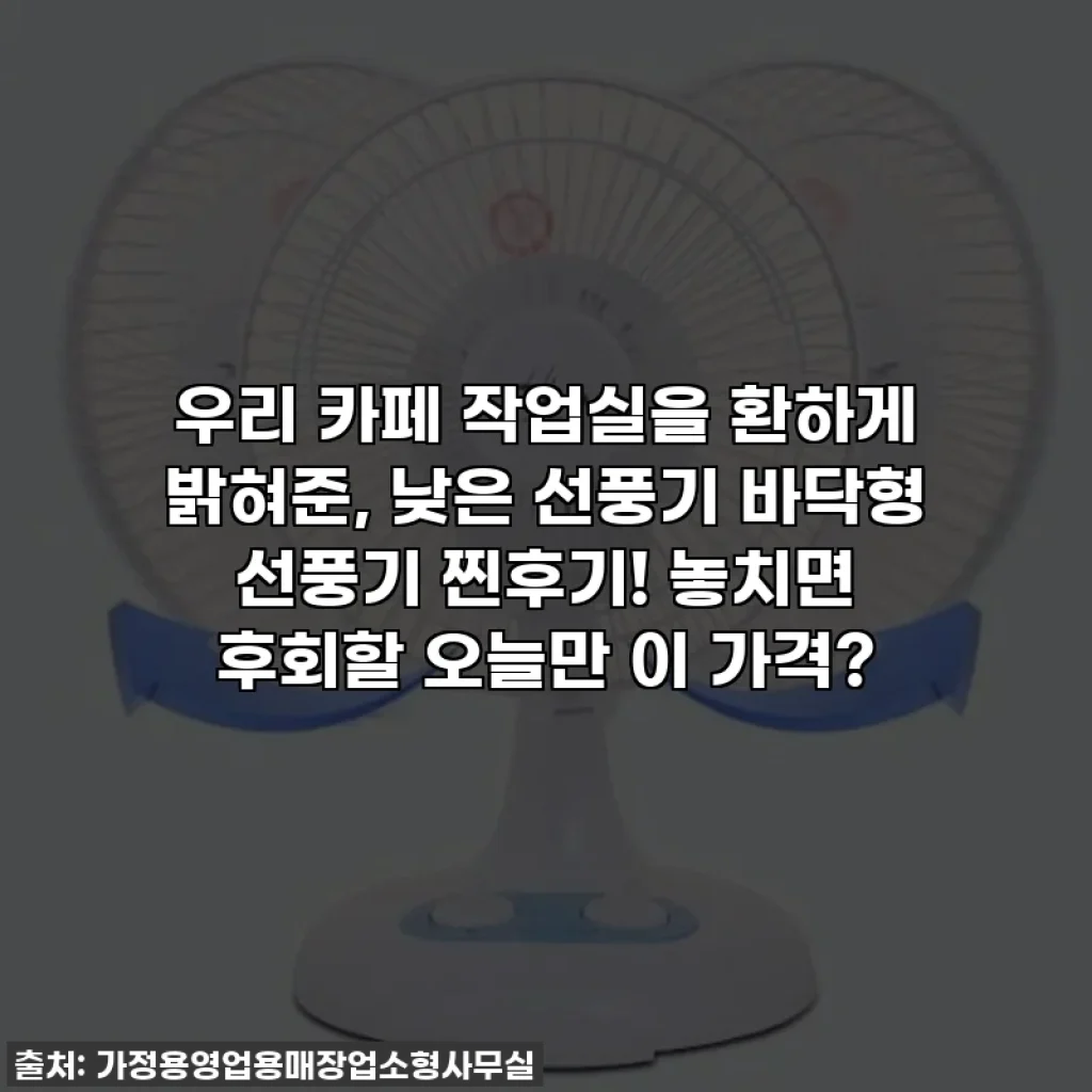 우리 카페 작업실을 환하게 밝혀준, 낮은 선풍기 바닥형 선풍기 찐후기! 놓치면 후회할 오늘만 이 가격?