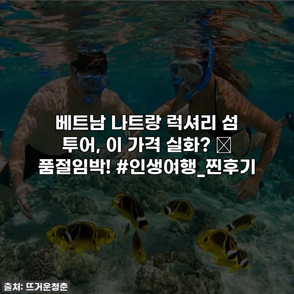 베트남 나트랑 럭셔리 섬 투어, 이 가격 실화? 🌊 품절임박! #인생여행_찐후기