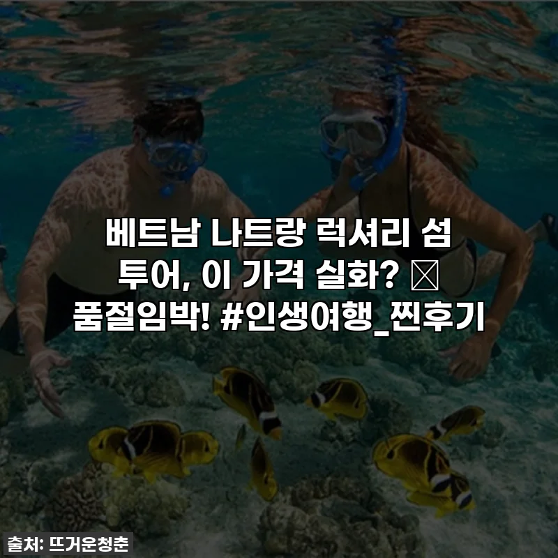 베트남 나트랑 럭셔리 섬 투어, 이 가격 실화? 🌊 품절임박! #인생여행_찐후기