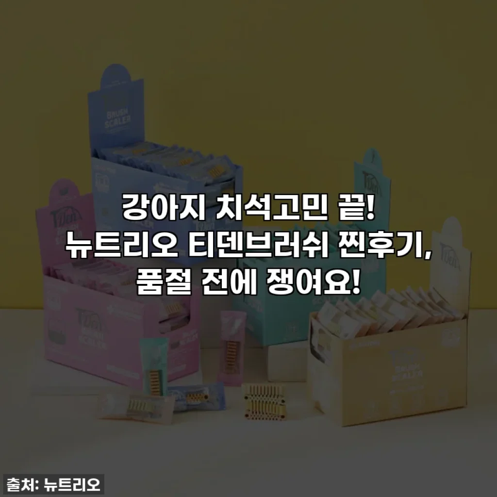 강아지 치석고민 끝! 뉴트리오 티덴브러쉬 찐후기, 품절 전에 쟁여요!