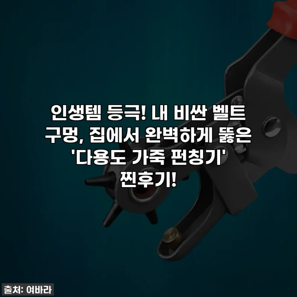 인생템 등극! 내 비싼 벨트 구멍, 집에서 완벽하게 뚫은 '다용도 가죽 펀칭기' 찐후기!
