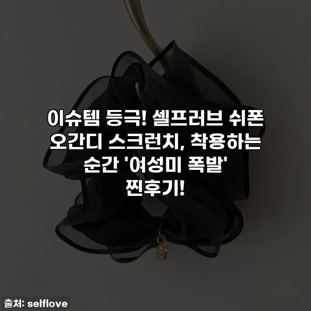 이슈템 등극! 셀프러브 쉬폰 오간디 스크런치, 착용하는 순간 '여성미 폭발' 찐후기!