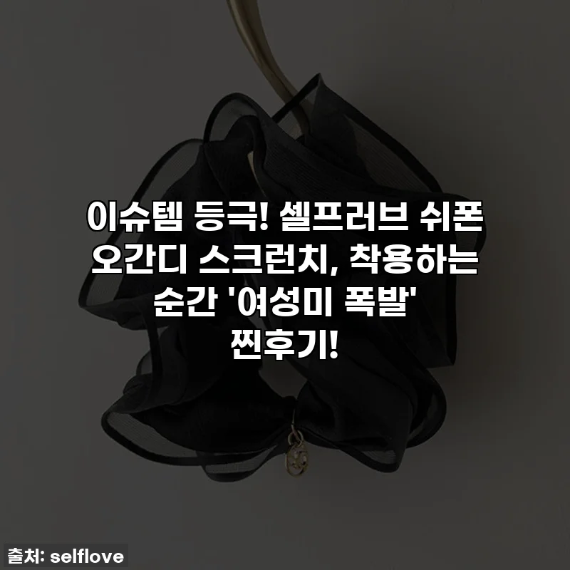 이슈템 등극! 셀프러브 쉬폰 오간디 스크런치, 착용하는 순간 '여성미 폭발' 찐후기!