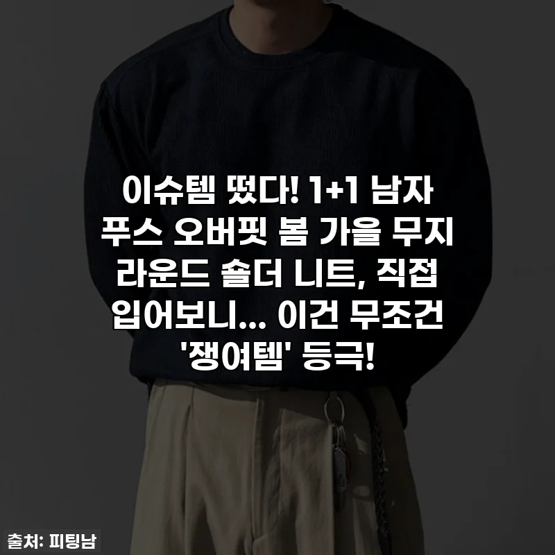 이슈템 떴다! 1+1 남자 푸스 오버핏 봄 가을 무지 라운드 숄더 니트, 직접 입어보니... 이건 무조건 '쟁여템' 등극!