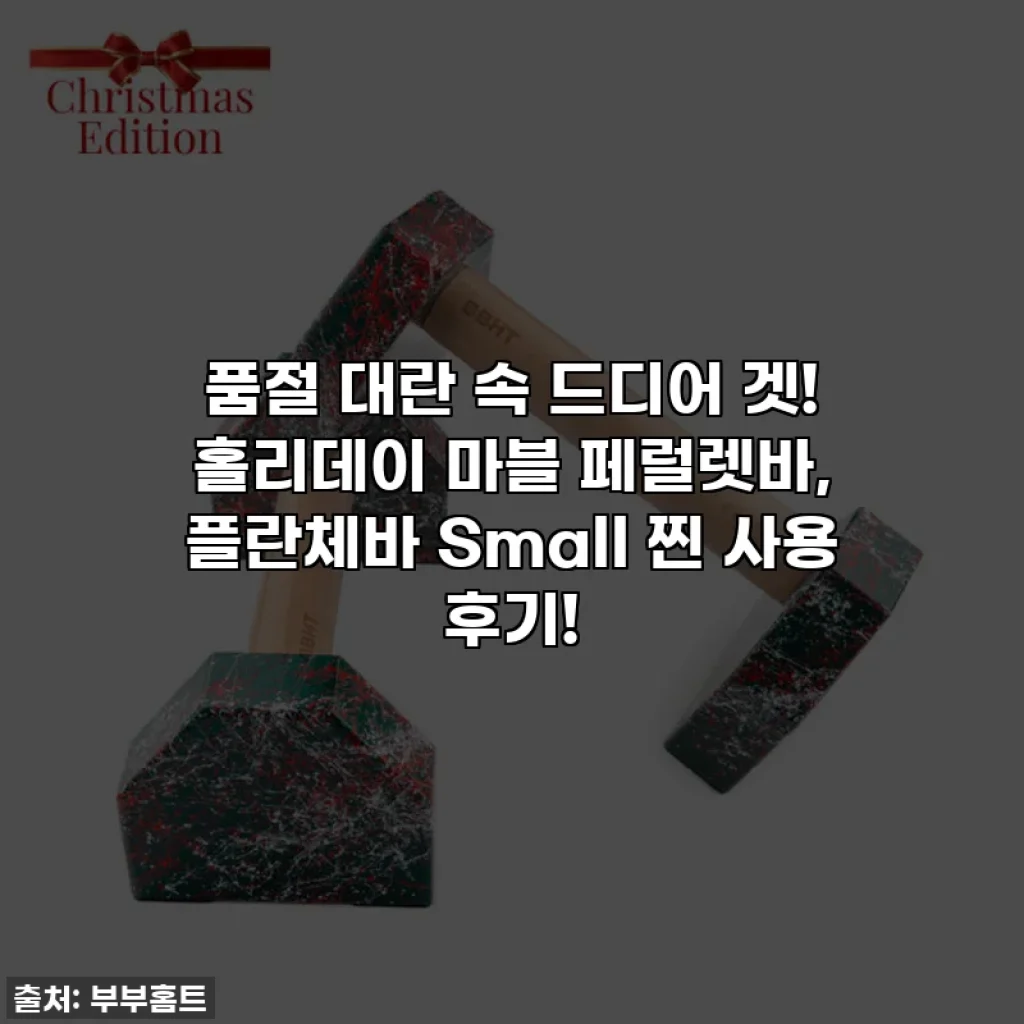 품절 대란 속 드디어 겟! 홀리데이 마블 페럴렛바, 플란체바 Small 찐 사용 후기!