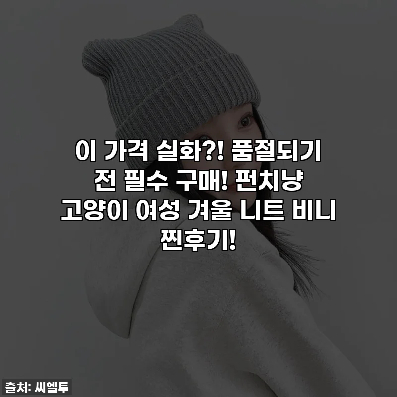 이 가격 실화?! 품절되기 전 필수 구매! 펀치냥 고양이 여성 겨울 니트 비니 찐후기!