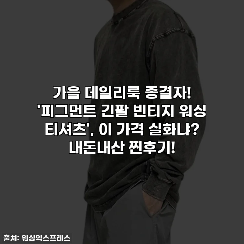 가을 데일리룩 종결자! '피그먼트 긴팔 빈티지 워싱 티셔츠', 이 가격 실화냐? 내돈내산 찐후기!