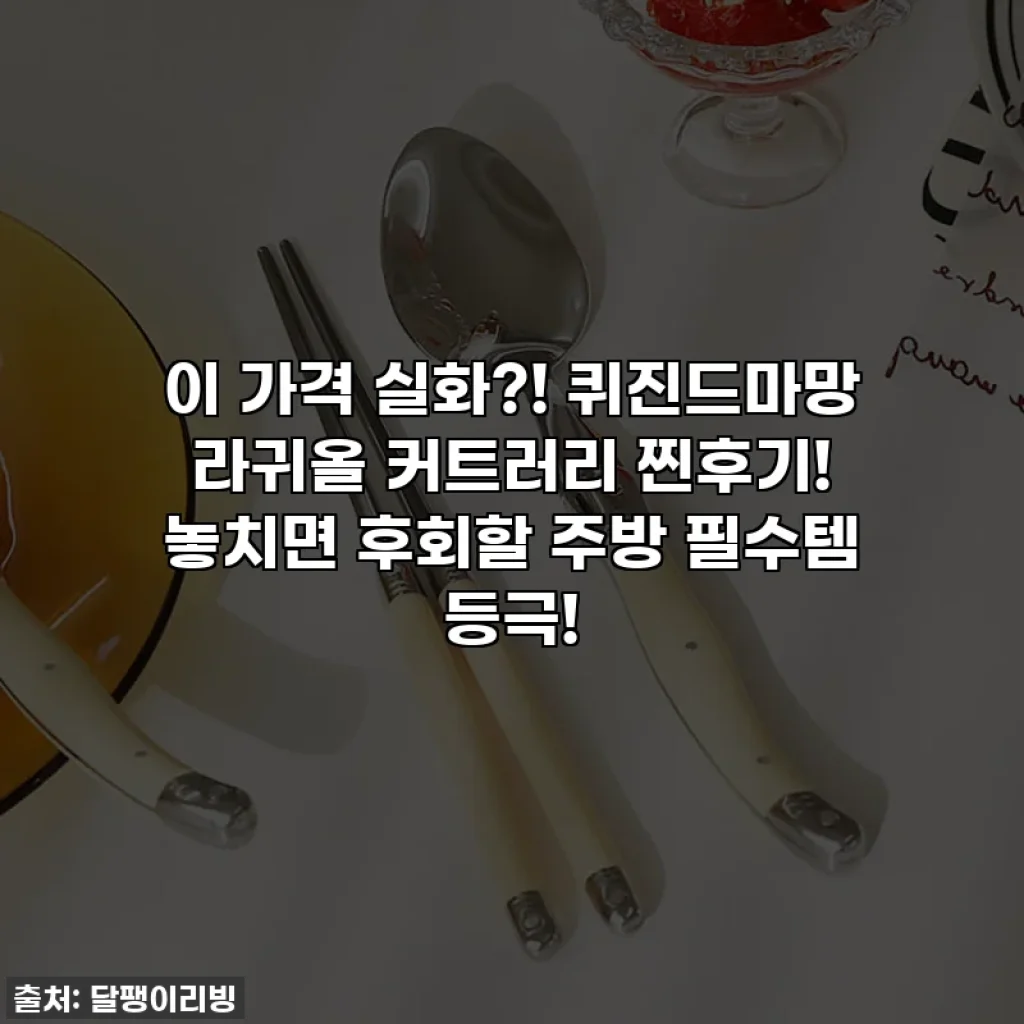 이 가격 실화?! 퀴진드마망 라귀올 커트러리 찐후기! 놓치면 후회할 주방 필수템 등극!