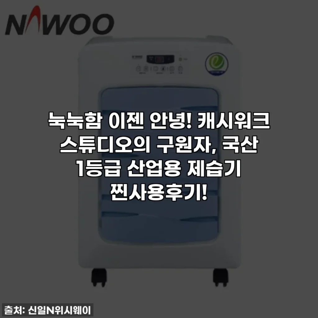 눅눅함 이젠 안녕! 캐시워크 스튜디오의 구원자, 국산 1등급 산업용 제습기 찐사용후기!