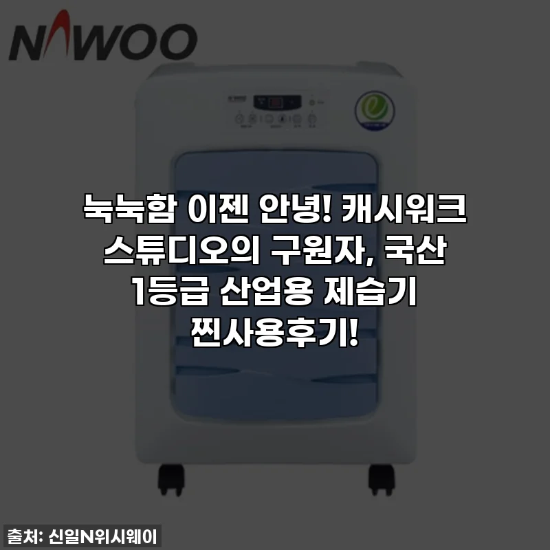 눅눅함 이젠 안녕! 캐시워크 스튜디오의 구원자, 국산 1등급 산업용 제습기 찐사용후기!