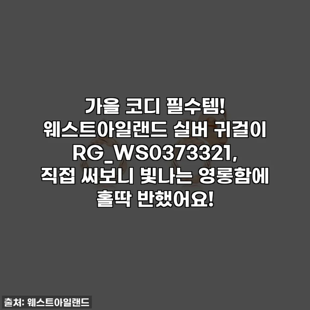 가을 코디 필수템! 웨스트아일랜드 실버 귀걸이 RG_WS0373321, 직접 써보니 빛나는 영롱함에 홀딱 반했어요!