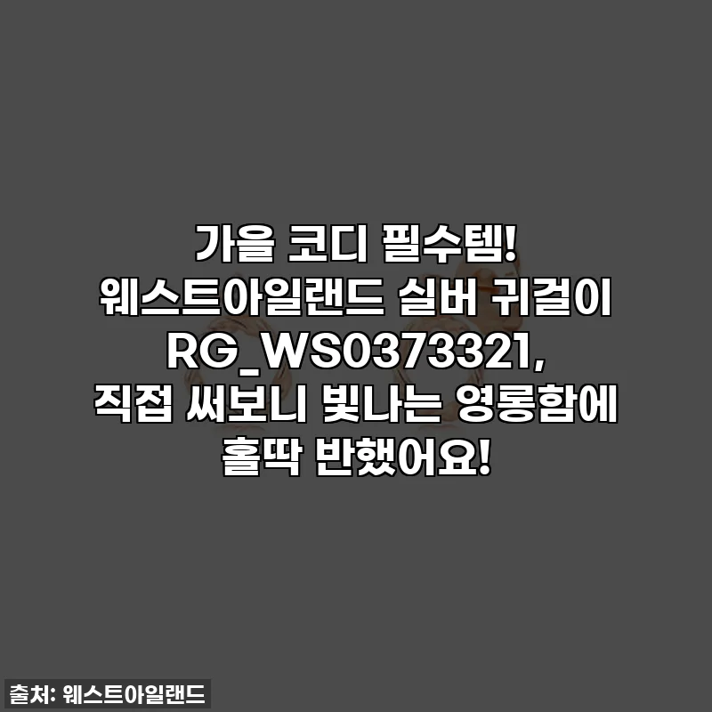 가을 코디 필수템! 웨스트아일랜드 실버 귀걸이 RG_WS0373321, 직접 써보니 빛나는 영롱함에 홀딱 반했어요!