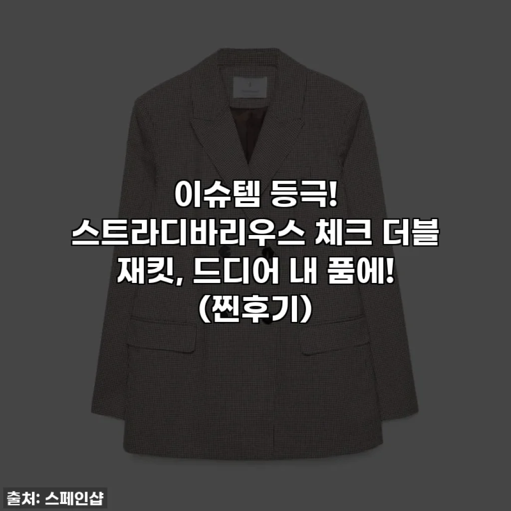 이슈템 등극! 스트라디바리우스 체크 더블 재킷, 드디어 내 품에! (찐후기)