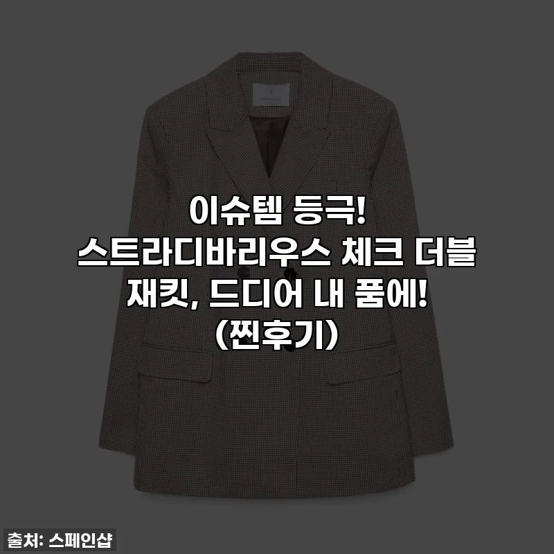 이슈템 등극! 스트라디바리우스 체크 더블 재킷, 드디어 내 품에! (찐후기)