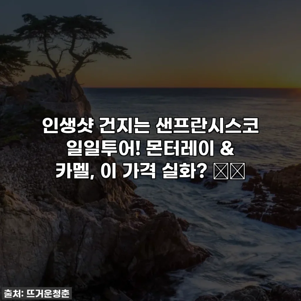 인생샷 건지는 샌프란시스코 일일투어! 몬터레이 & 카멜, 이 가격 실화? 🌊✨