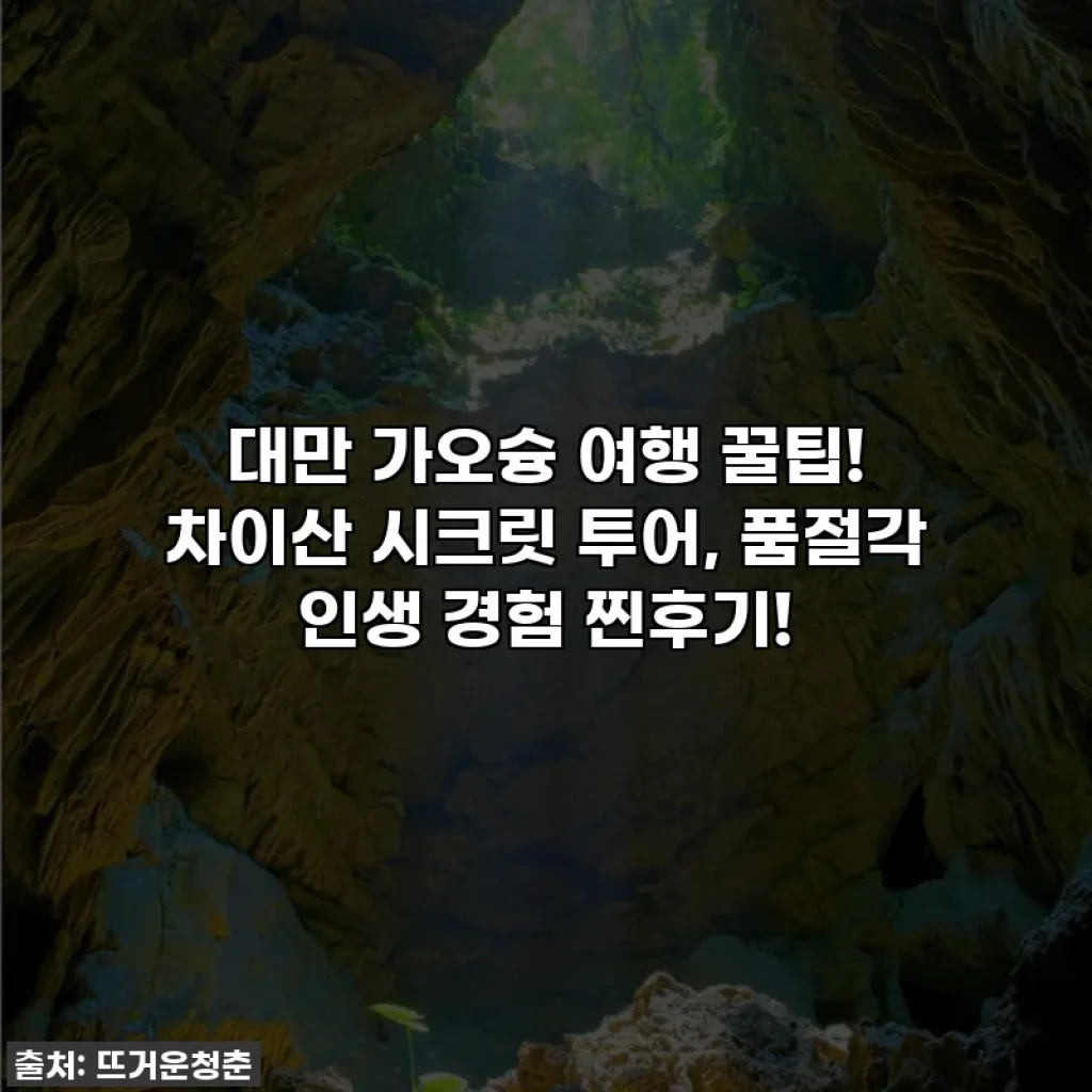대만 가오슝 여행 꿀팁! 차이산 시크릿 투어, 품절각 인생 경험 찐후기!