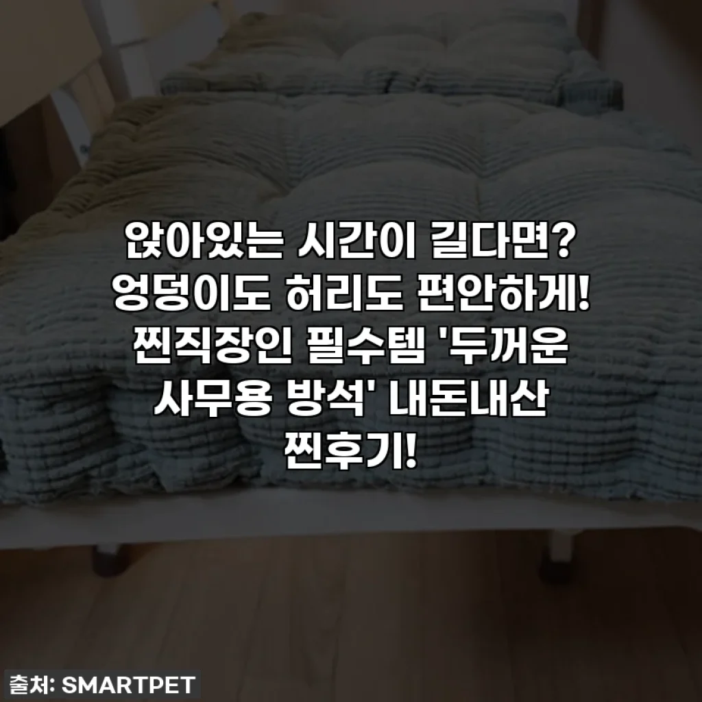 앉아있는 시간이 길다면? 엉덩이도 허리도 편안하게! 찐직장인 필수템 '두꺼운 사무용 방석' 내돈내산 찐후기!