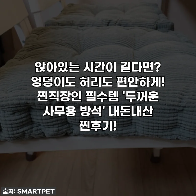 앉아있는 시간이 길다면? 엉덩이도 허리도 편안하게! 찐직장인 필수템 '두꺼운 사무용 방석' 내돈내산 찐후기!