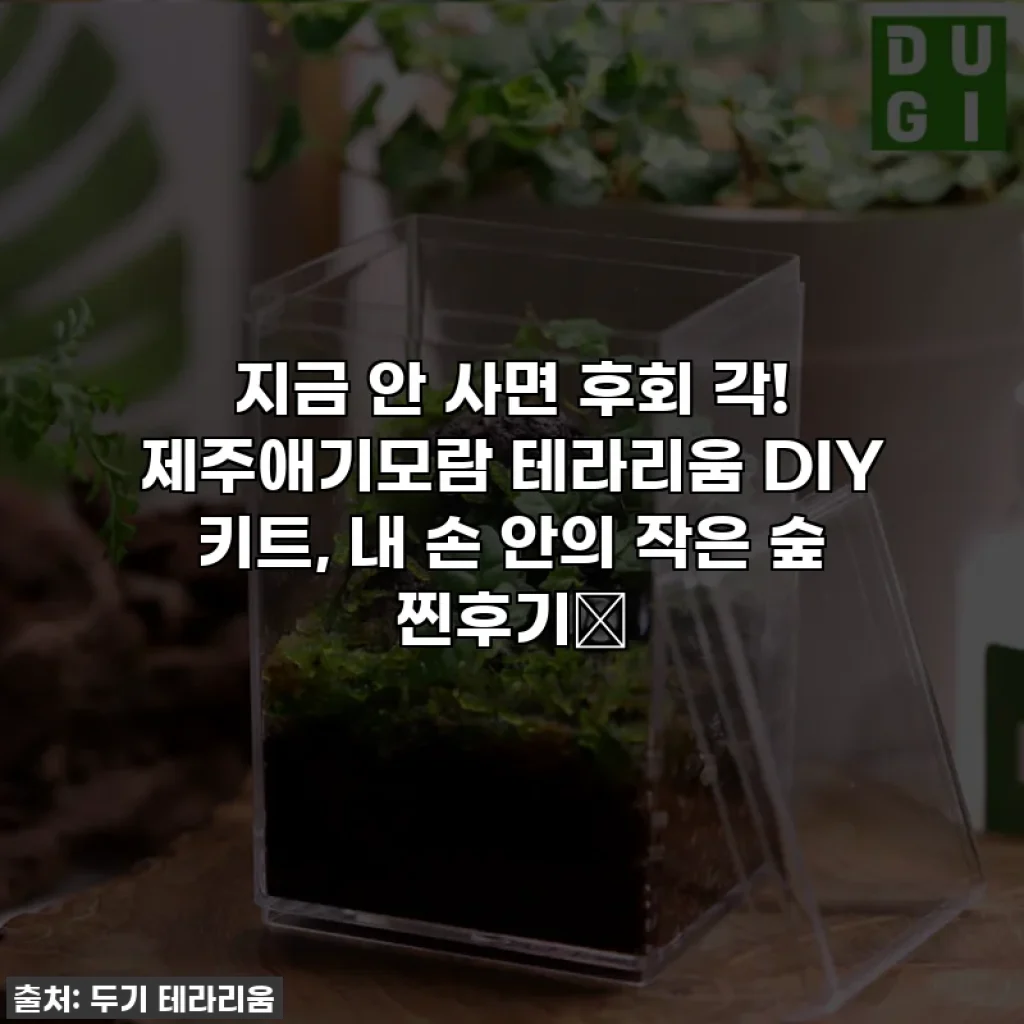 지금 안 사면 후회 각! 제주애기모람 테라리움 DIY 키트, 내 손 안의 작은 숲 찐후기🌿