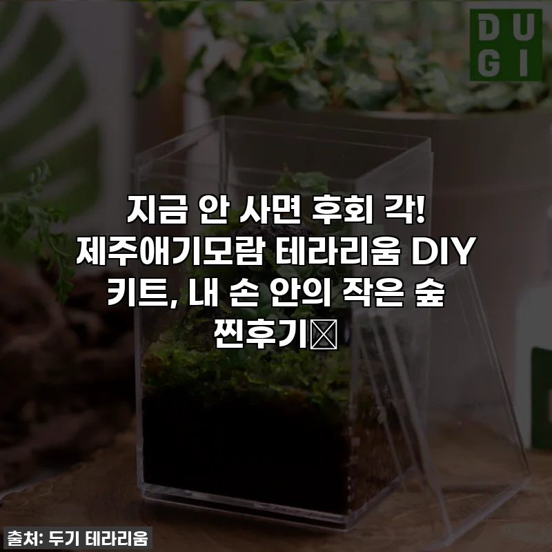지금 안 사면 후회 각! 제주애기모람 테라리움 DIY 키트, 내 손 안의 작은 숲 찐후기🌿