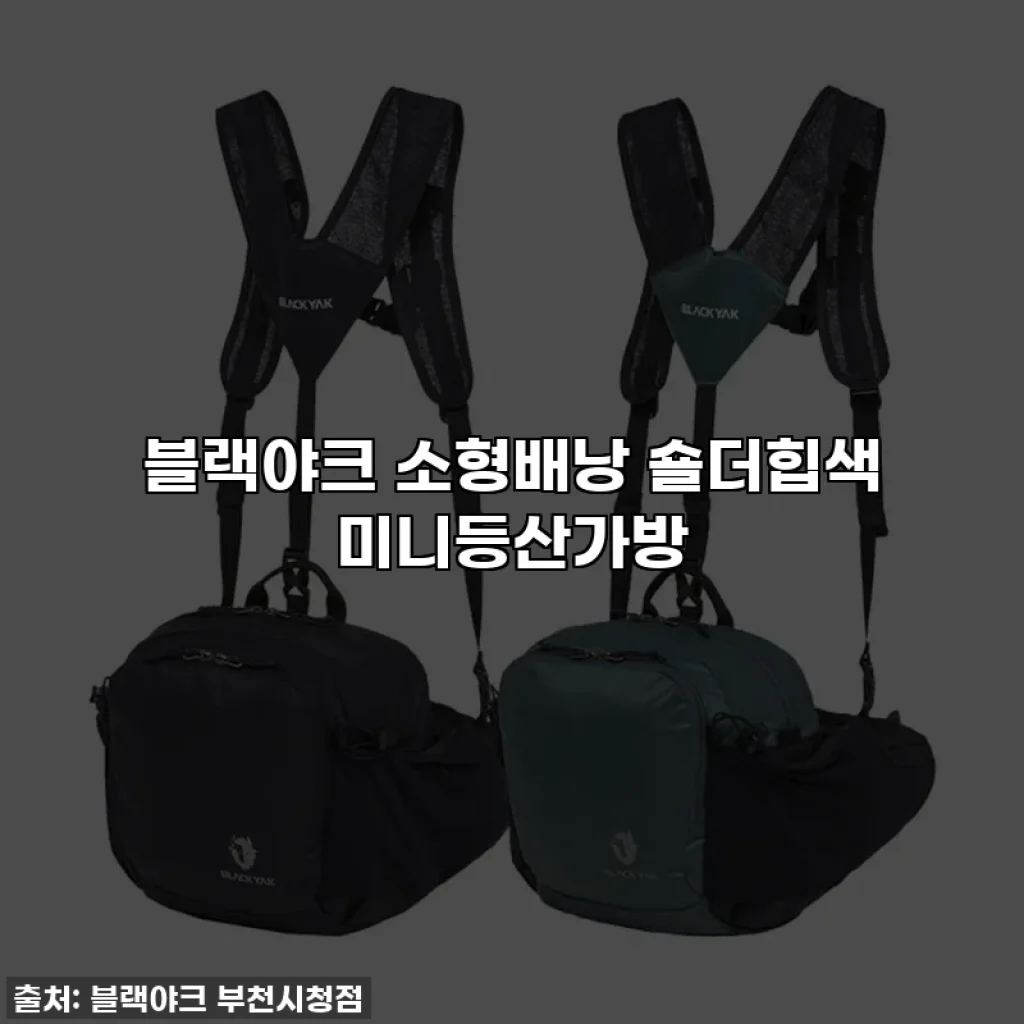블랙야크 소형배낭 숄더힙색 미니등산가방