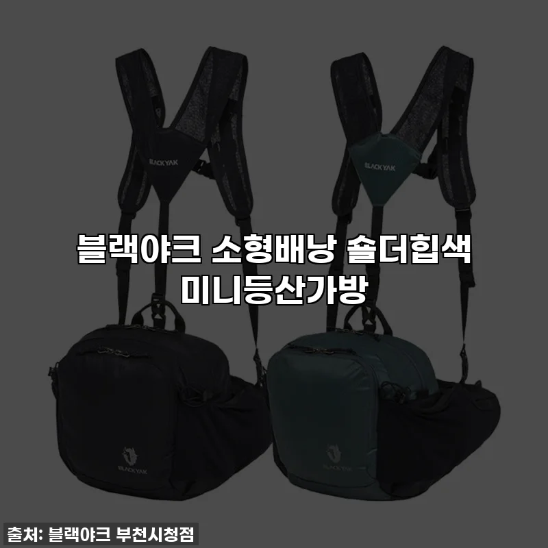 블랙야크 소형배낭 숄더힙색 미니등산가방