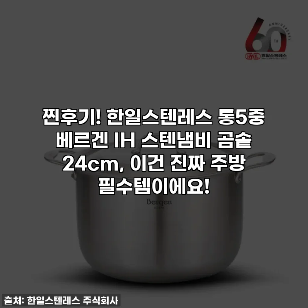 찐후기! 한일스텐레스 통5중 베르겐 IH 스텐냄비 곰솥 24cm, 이건 진짜 주방 필수템이에요!