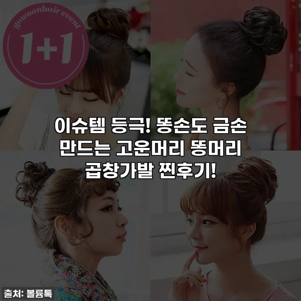 이슈템 등극! 똥손도 금손 만드는 고운머리 똥머리 곱창가발 찐후기!