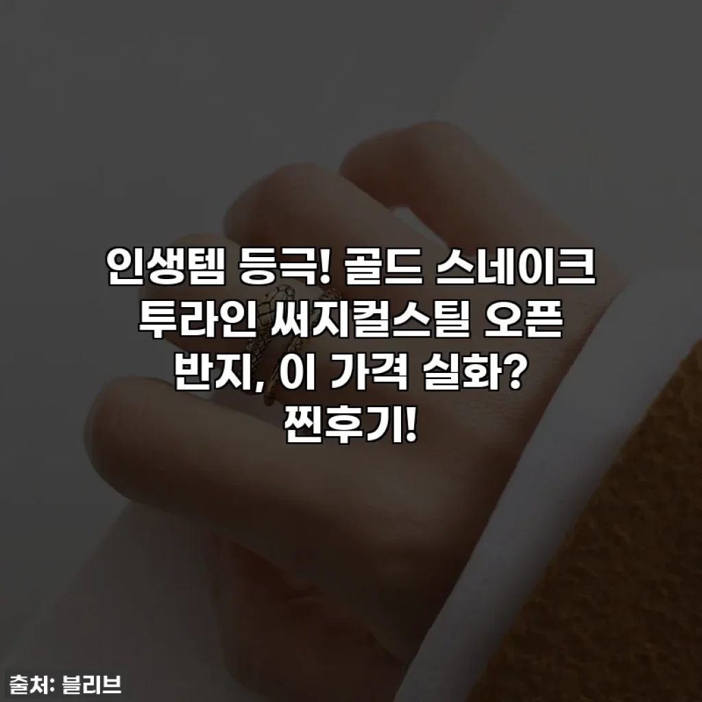 인생템 등극! 골드 스네이크 투라인 써지컬스틸 오픈 반지, 이 가격 실화? 찐후기!