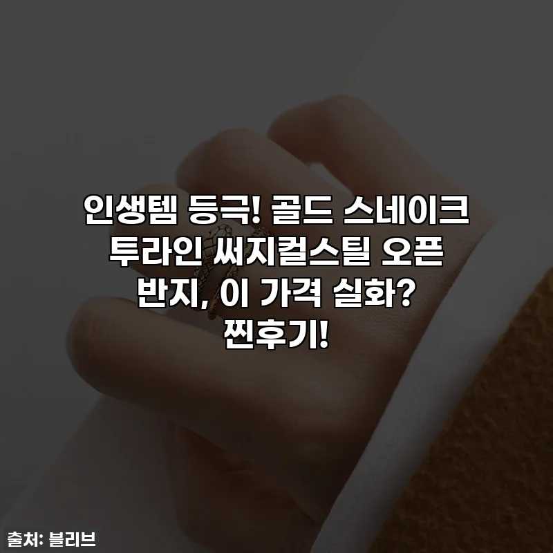 인생템 등극! 골드 스네이크 투라인 써지컬스틸 오픈 반지, 이 가격 실화? 찐후기!